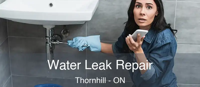 Water Leak Repair Thornhill - ON